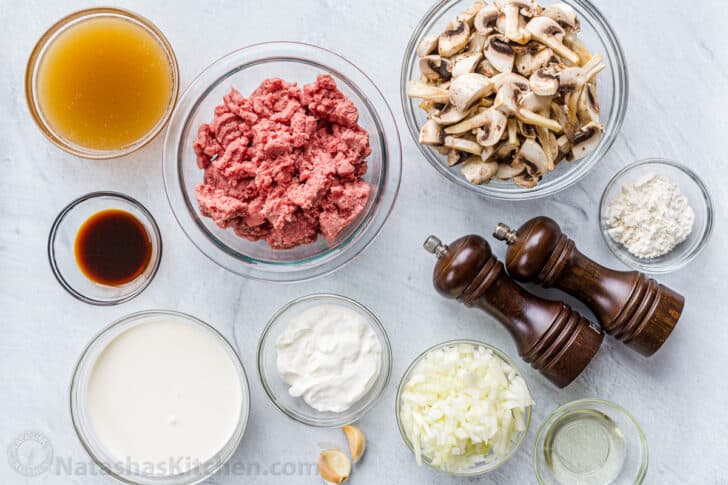 Ingredients for the Ground Beef Stroganoff